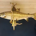 Garvikstrondi Seljord